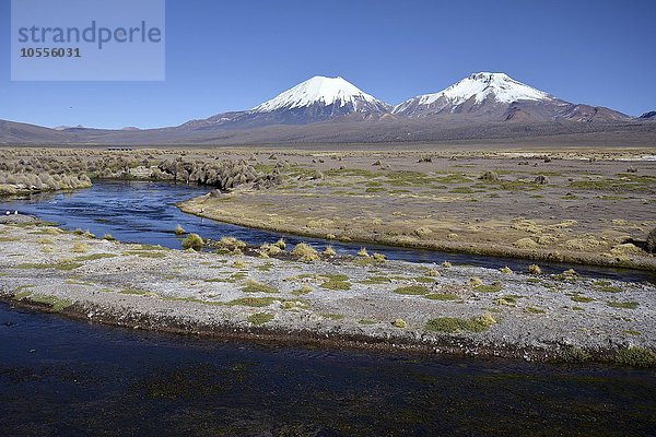 Schneebedeckte Vulkane Pomerape und Parinacota  Sajama Nationalpark  Grenze Bolivien  Chile  Südamerika