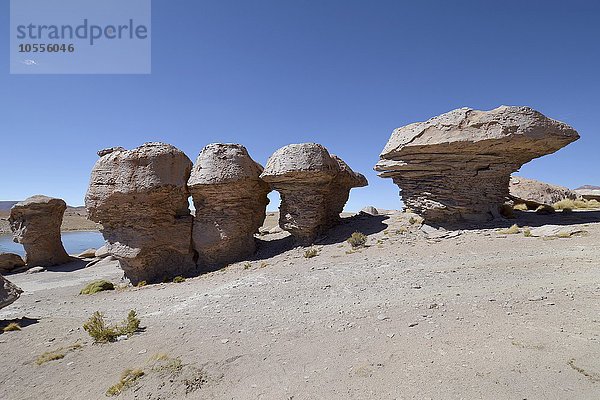 Felsformationen  pilzförmig  entstanden durch Wind Erosion  Valle de las rocas  Felsental  bei Uyuni  Bolivien  Südamerika