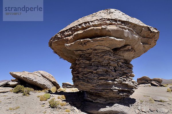 Felsformationen  pilzförmig  entstanden durch Wind Erosion  Valle de las rocas  Felsental  bei Uyuni  Bolivien  Südamerika