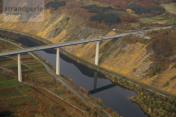 Autobahnbrücke der A61 über Mosel  bei Winningen  Rheinland-Pfalz  Deutschland  Europa