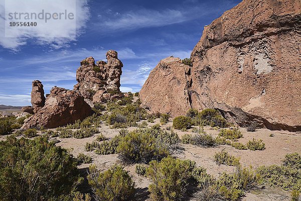 Erodierte Felsen  Valle de las Rocas  Felsental  bei Uyuni  Altiplano  Dreiländereck Bolivien  Argentinien  Chile  Südamerika