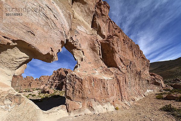 Erodierte Felsen  Valle de las Rocas  Felsental  bei Uyuni  Altiplano  Dreiländereck Bolivien  Argentinien  Chile  Südamerika