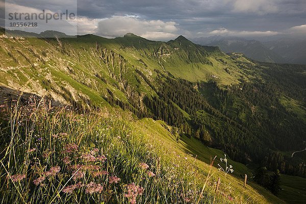 Almwiesen im Sommer  Karwendelgebirge  Gewitterstimmung  Tirol  Österreich  Europa