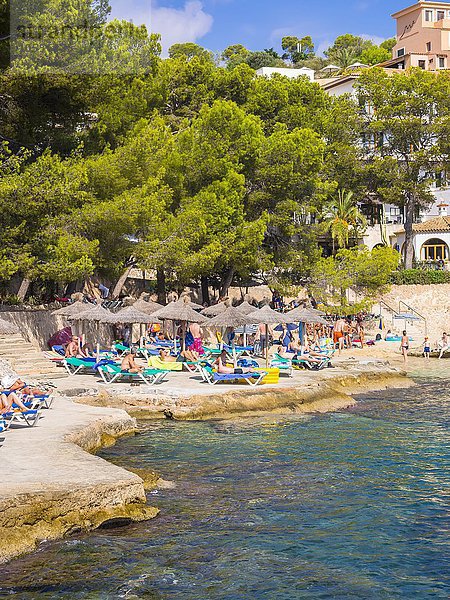 Strand und Bucht von Cala Fornells  Mallorca  Balearen  Spanien  Europa