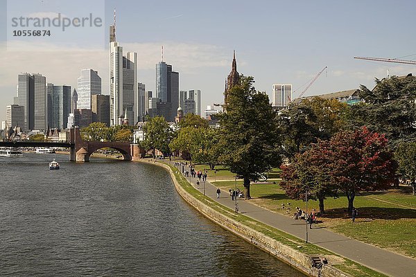 Mainufer und Skyline Bankenviertel  Frankfurt am Main  Hessen  Deutschland  Europa
