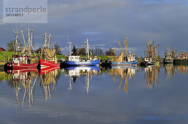 Krabbenkutter im Hafen  Greetsiel  Niedersachsen  Deutschland  Europa