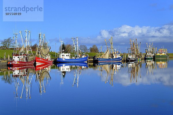 Krabbenkutter im Hafen  Greetsiel  Niedersachsen  Deutschland  Europa