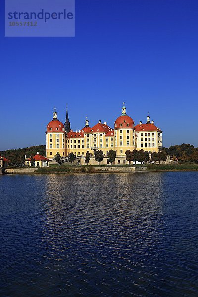 Schloss Moritzburg  Sachsen  Deutschland  Europa