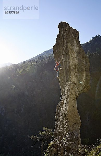 Sportkletterer klettert an einer Felsnadel  Ehnbachklamm  Zirl  Tirol  Österreich  Europa