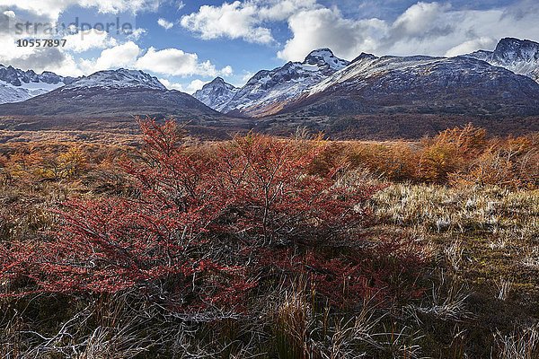 Gebirge  Sierra Alvear  Valle Tierra Mayor  Tierra del Fuego Nationalpark  Feuerland  Argentinien  Südamerika