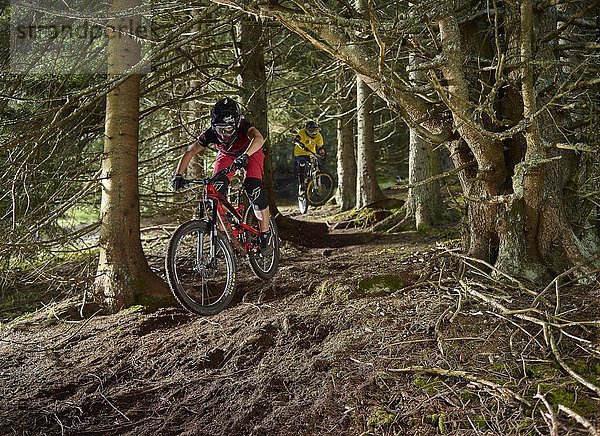 Mountainbiker  Downhill Biker fahren einen Downhilltrail im Wald  Mutterer Alm  Muttereralmpark  Mutters  Tirol  Österreich  Europa