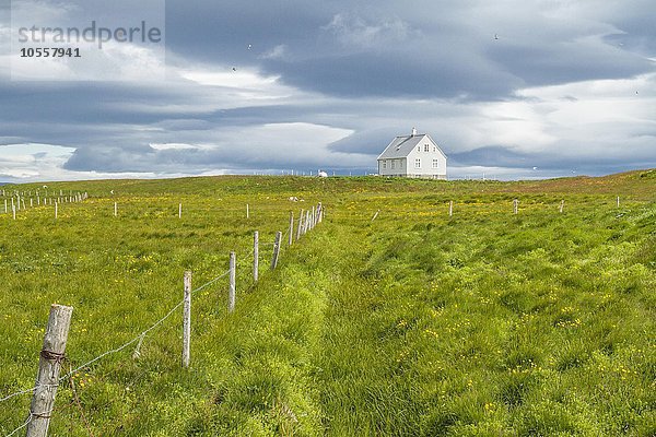 Weisses Haus auf Hügel  vorne Wiese  Insel Flatey  Flatey  Westfjorde  Island  Europa