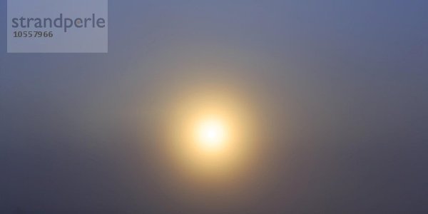 Sonne dringt durch Nebel  Mitternachtssonne  Kommune Nordkap  Magerøya  Finnmark  Norwegen  Europa