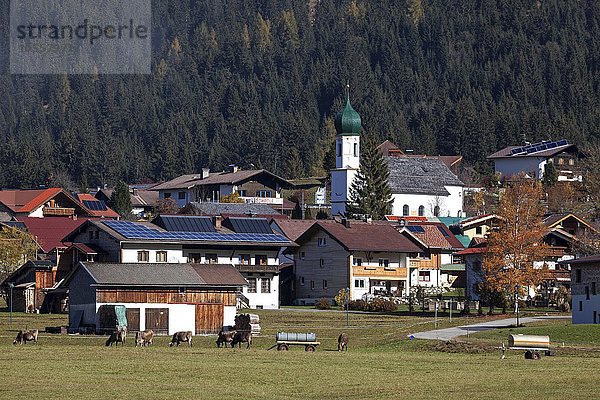 Grän im Tannheimer Tal  Herbststimmung  Tirol  Österreich  Europa