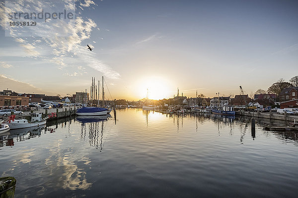 Sonnenuntergang am Hafen  Eckernförde  Schleswig-Holstein  Deutschland  Europa