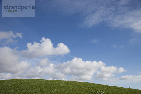 Rollende grüne Hügel unter blauem Himmel