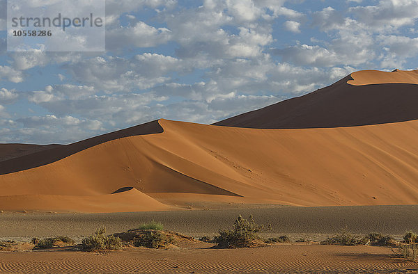 Sanddünen in der Wüstenlandschaft