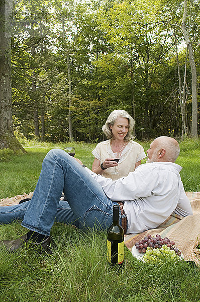 Älteres Paar trinkt Wein beim Picknick im Park