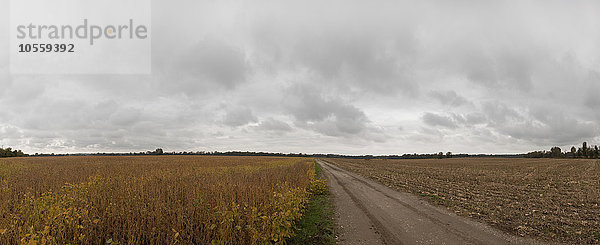 Schotterweg durch Felder in ländlicher Landschaft