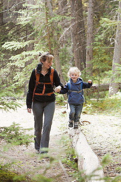 Kaukasische Mutter und Sohn wandern im Wald
