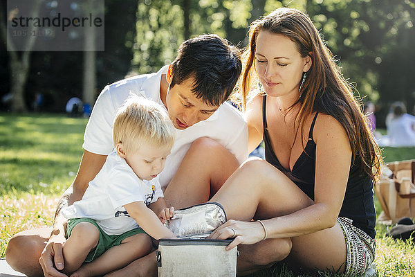 Familie öffnet Picknickbox im Park