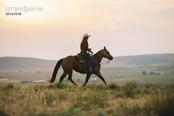 Kaukasisches Cowgirl reitet auf einem Pferd in einem ländlichen Gebiet
