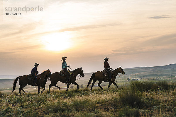 Cowgirls reiten auf Pferden in einem ländlichen Gebiet