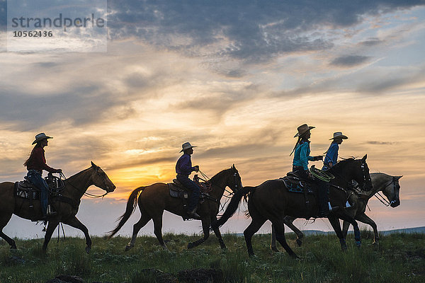 Cowgirls und Cowboy reiten auf Pferden in einem ländlichen Gebiet