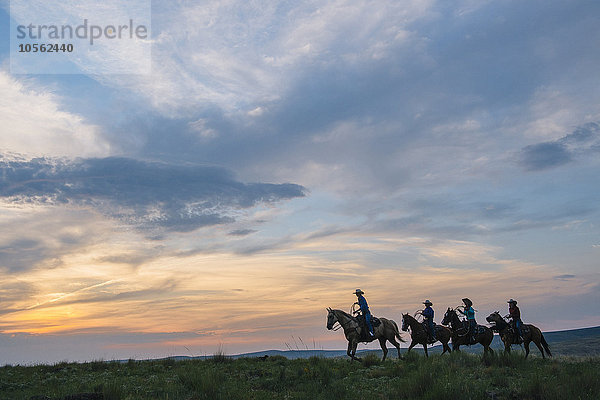 Cowgirls und Cowboy reiten auf Pferden in einem ländlichen Gebiet