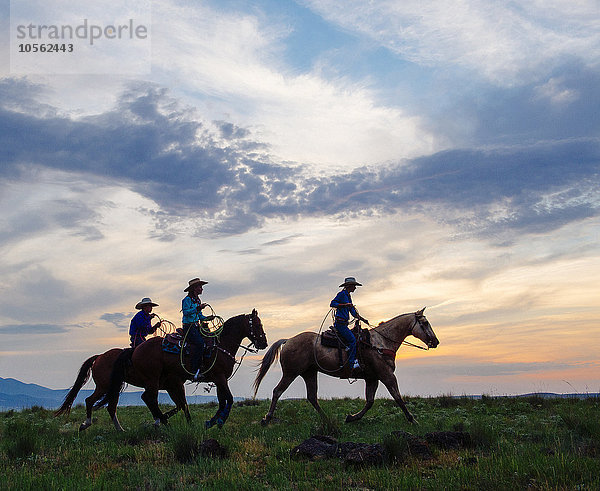 Cowgirls und Cowboy reiten auf Pferden in einem ländlichen Gebiet