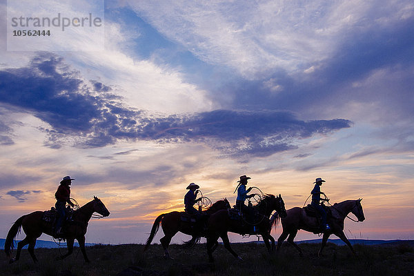 Cowgirls und Cowboy reiten auf Pferden in einem ländlichen Gebiet