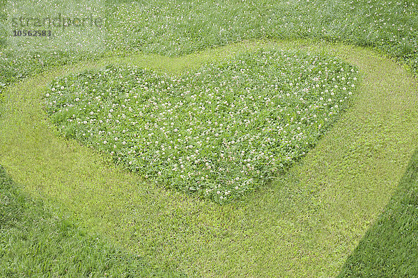 Hohe Winkel Ansicht des Herzens gemäht in Gras Rasen