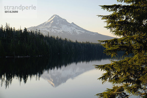 Mount Hood spiegelt sich in Lost Lake  Hood River  Oregon  Vereinigte Staaten