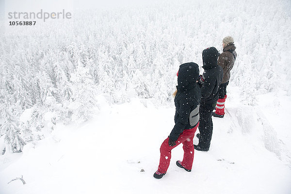 Kaukasische Wanderer auf einem Berggipfel bewundern den verschneiten Wald