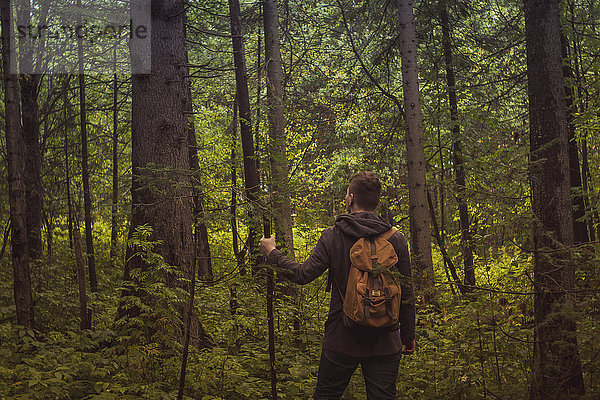 Kaukasischer Mann geht im Wald spazieren