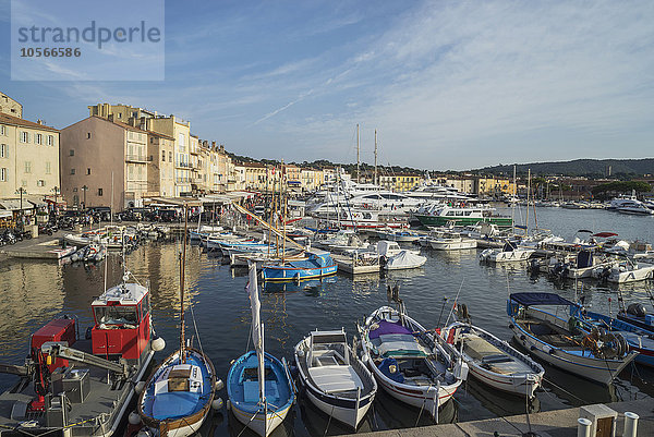 Boote im Jachthafen von St. Tropez  Provence  Frankreich