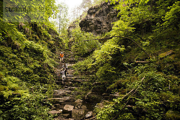 Wanderer klettert auf Felsen im Wald