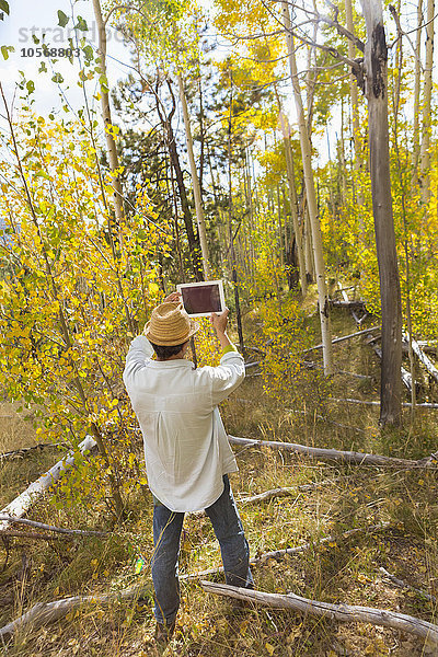 Mann beim Fotografieren mit digitalem Tablet im Herbstwald