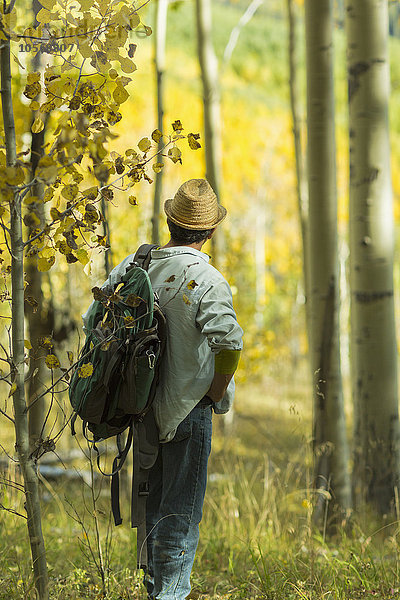 Mann erkundet Herbstwald