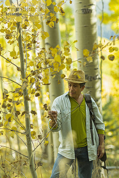 Mann erkundet Herbstwald