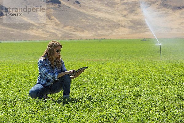 Kaukasischer Landwirt mit digitalem Tablet auf dem Feld