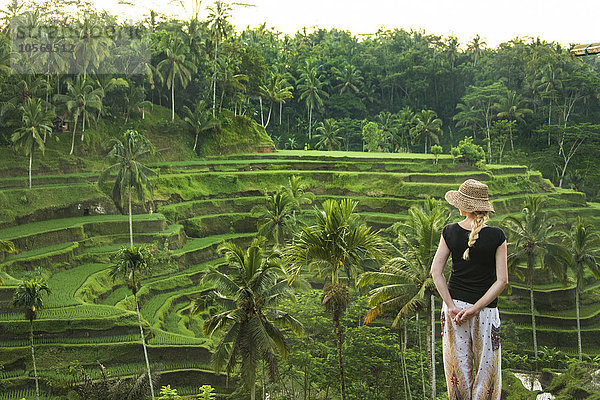 Kaukasischer Tourist bewundert eine ländliche Reisterrasse  Ubud  Bali  Indonesien