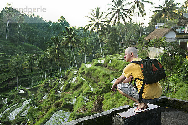 Kaukasischer Tourist bewundert eine ländliche Reisterrasse  Ubud  Bali  Indonesien