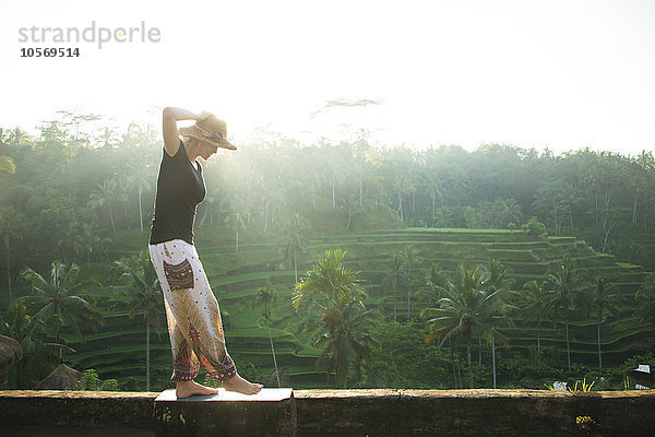 Kaukasischer Tourist auf ländlicher Reisterrasse  Ubud  Bali  Indonesien