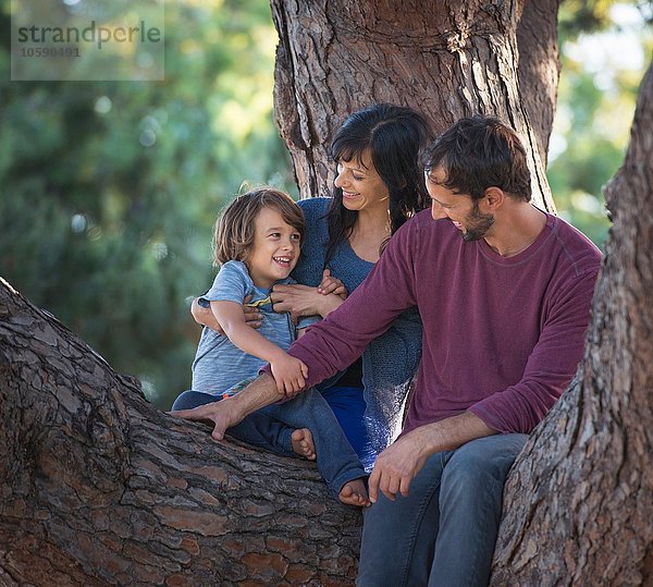 Kleiner Junge mit Mutter und Vater  im Baum sitzend