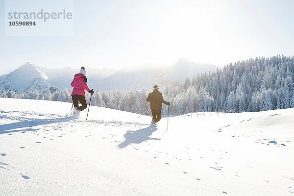 Rückansicht des Seniorenpaares mit Wanderstöcken auf verschneiter Landschaft  Sattelbergalm  Tirol  Österreich