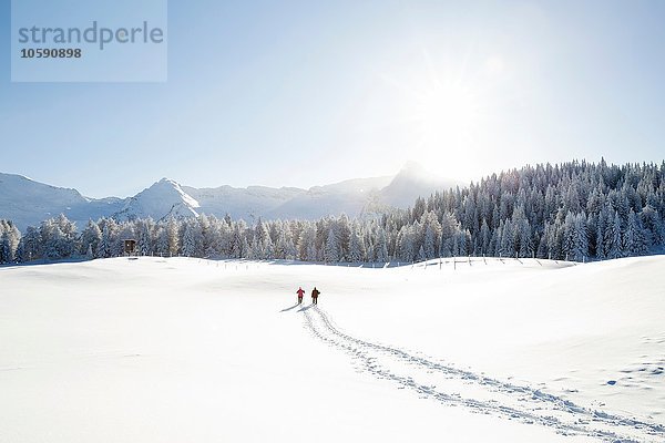 Schneespuren von Seniorenpaaren zu Bäumen und Bergen  Sattelbergalm  Tirol  Österreich