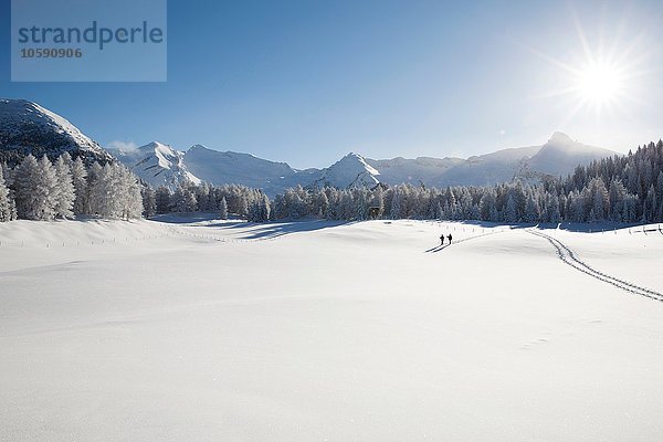 Bergkette  Bäume und Seniorenpaar weit weg auf verschneiter Landschaft  Sattelbergalm  Tirol  Österreich