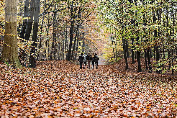 Mädchen beim Wandern im Herbstwald