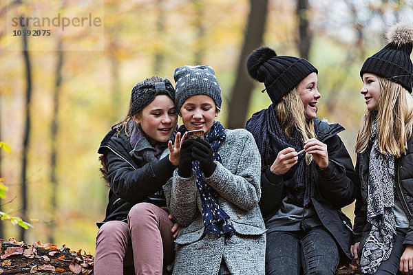 Mädchen mit Smartphone und Chat im Herbstwald